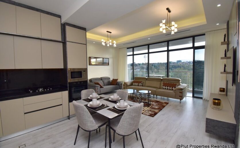 harrington apartment for rent plut properties C05 (11)