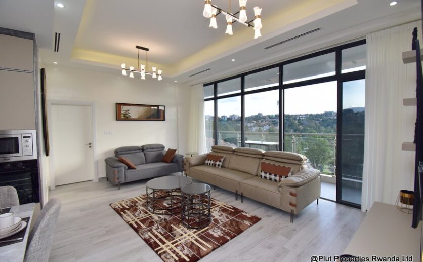 harrington apartment for rent plut properties C05 (12)