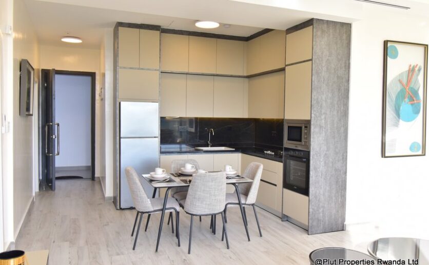 harrington apartment for rent plut properties C05 (15)