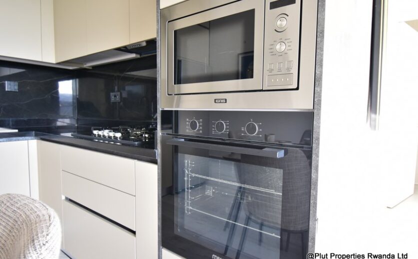 harrington apartment for rent plut properties C05 (9)
