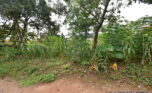 Big land for sale in Kinyinya plut properties (6)