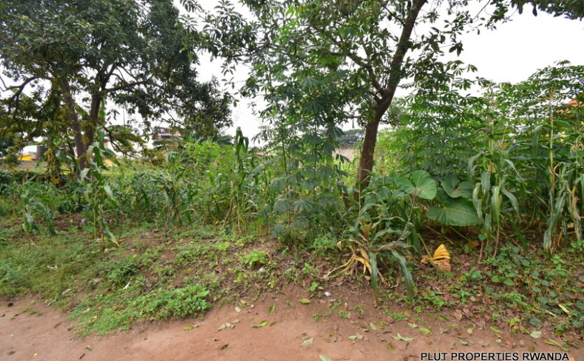 Big land for sale in Kinyinya plut properties (6)