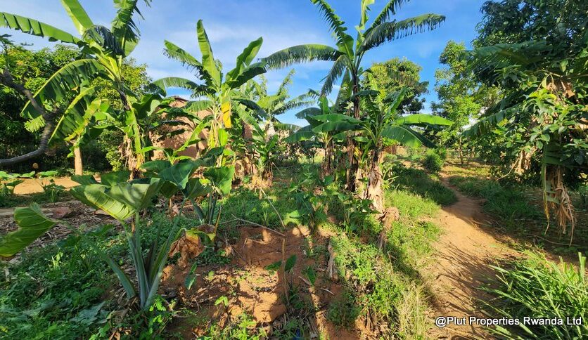 ramiro land bugesera for sale plut properties (10)