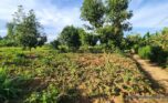 ramiro land bugesera for sale plut properties (14)