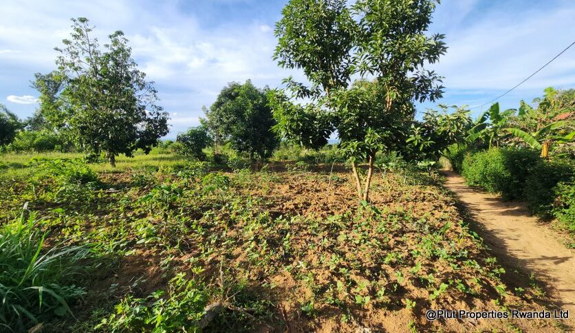 ramiro land bugesera for sale plut properties (14)