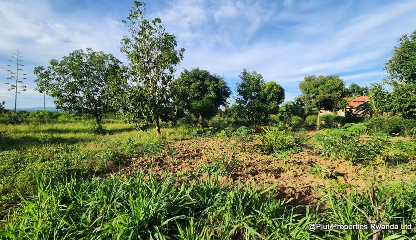 ramiro land bugesera for sale plut properties (15)
