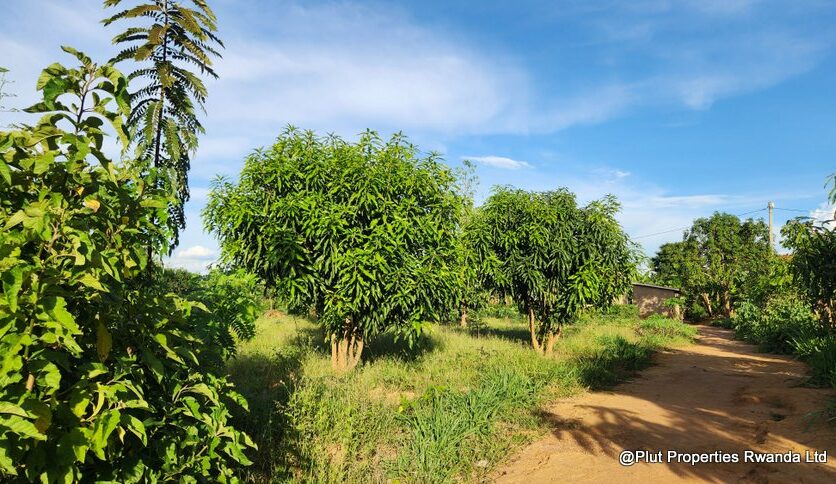 ramiro land bugesera for sale plut properties (16)