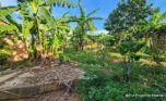 ramiro land bugesera for sale plut properties (8)