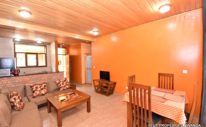 Apartment for rent in city center plut properties (1)