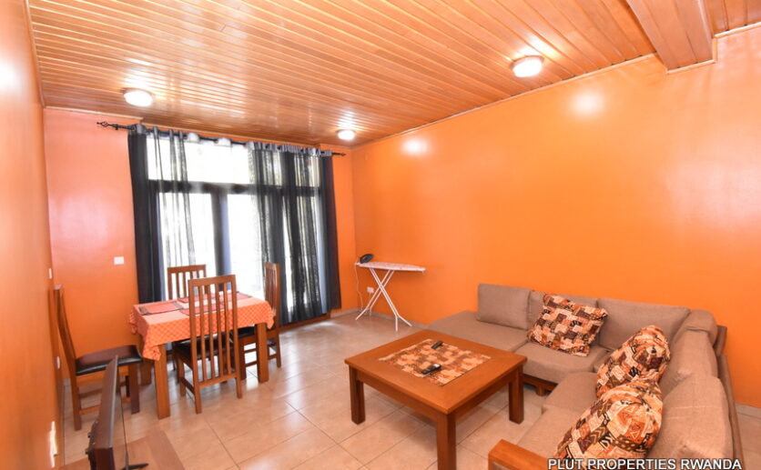 Apartment for rent in city center plut properties (11)
