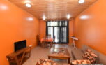 Apartment for rent in city center plut properties (12)