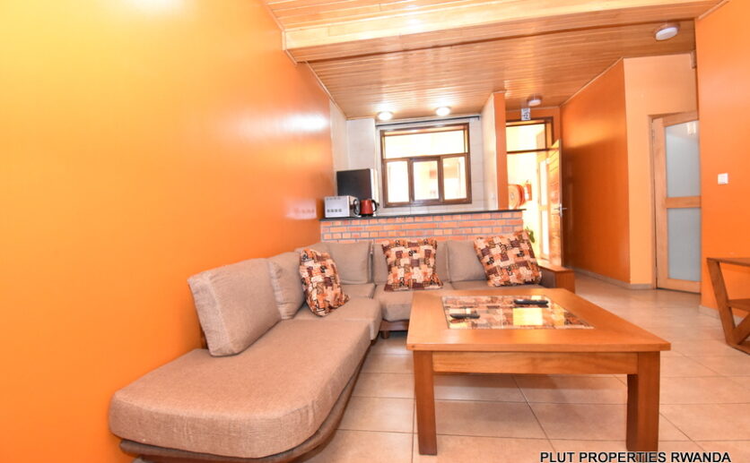 Apartment for rent in city center plut properties (2)