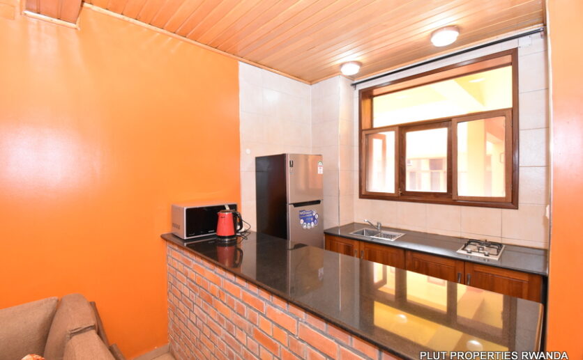 Apartment for rent in city center plut properties (4)