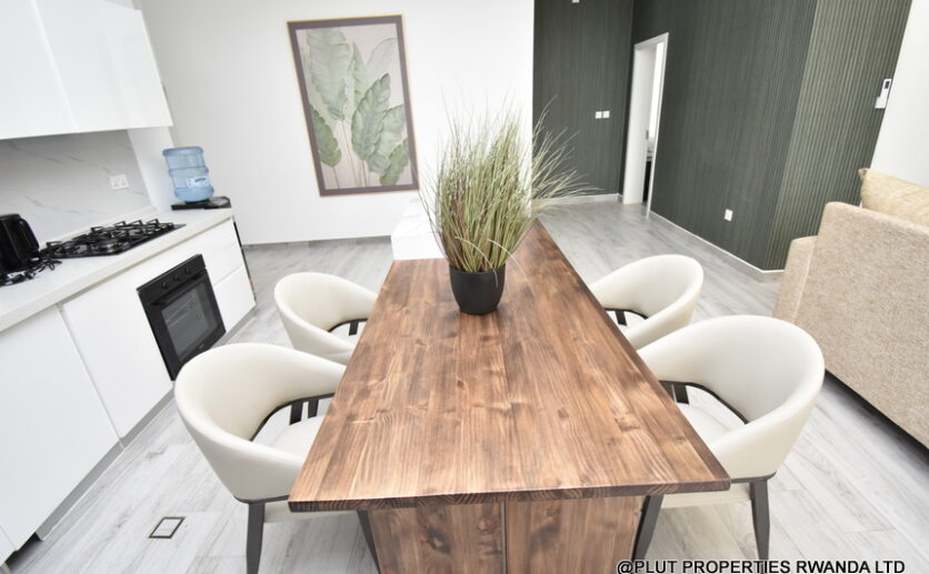 Beautiful fully furnished apartment in Kigali plut properties (5)