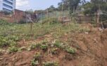 Big plot for sale in Kiyovu plut properties (3)