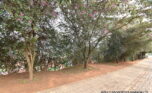Buy land in Kacyiru plut properties (1)