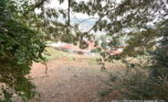 Buy land in Kacyiru plut properties (4)