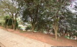 Buy land in Kacyiru plut properties (9)