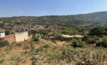 Buy land plut properties (1)
