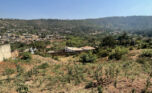 Buy land plut properties (3)