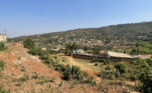 Buy land plut properties (4)