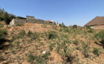 Buy land plut properties (5)