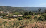 Buy land plut properties (6)