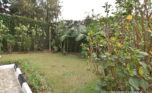 Gacuriro house for rent plut properties (8)