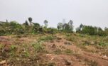 Gacuriro land for sale plut properties (1)