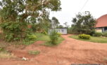 Murindi plot for sale plut properties (6)