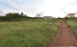 muhazi house for sale plut properties (13)