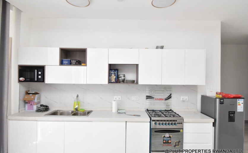 Fully furnished apartment for rent plut properties (1)