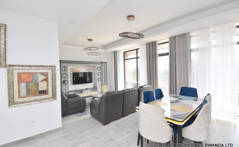 Fully furnished apartment for rent plut properties (11)