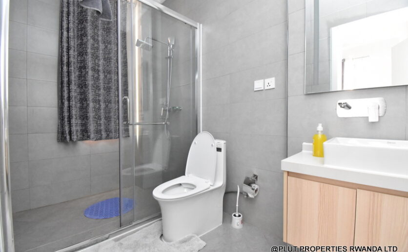 Fully furnished apartment for rent plut properties (5)