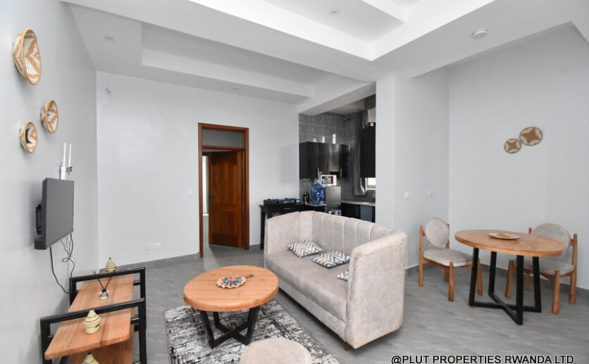 Gisozi apartment for rent plut properties (8)