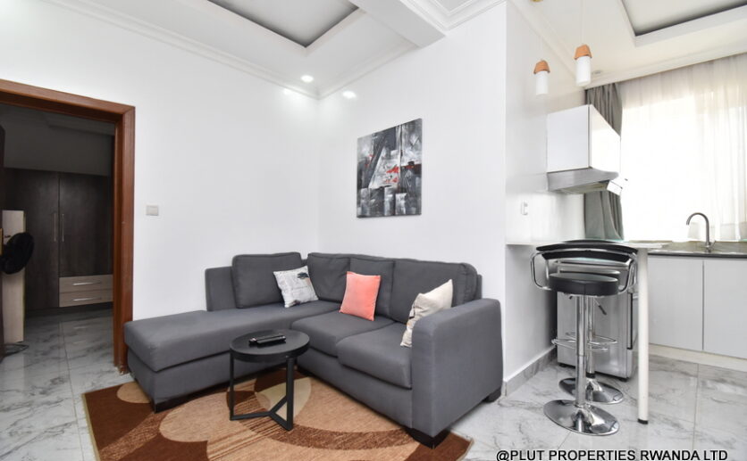 Nyarutarama 1 bedroom apartment for rent in Kigali plut properties (8)