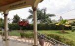 Rebero House for rent plut properties (1)