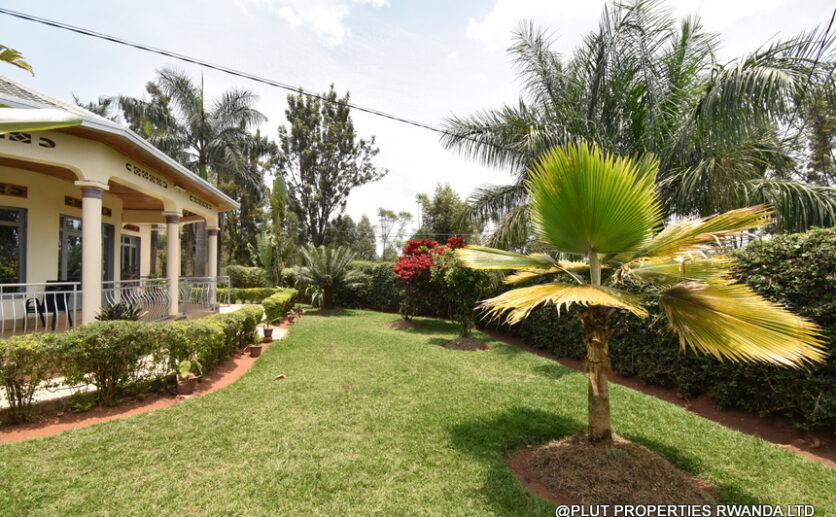 Rebero House for rent plut properties (19)
