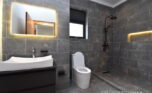 Rebero big house for rent plut properties (16)