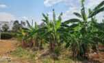 Residential plot for sale in Rusoror Kigali (1)