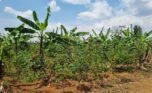 Residential plot for sale in Rusoror Kigali (3)
