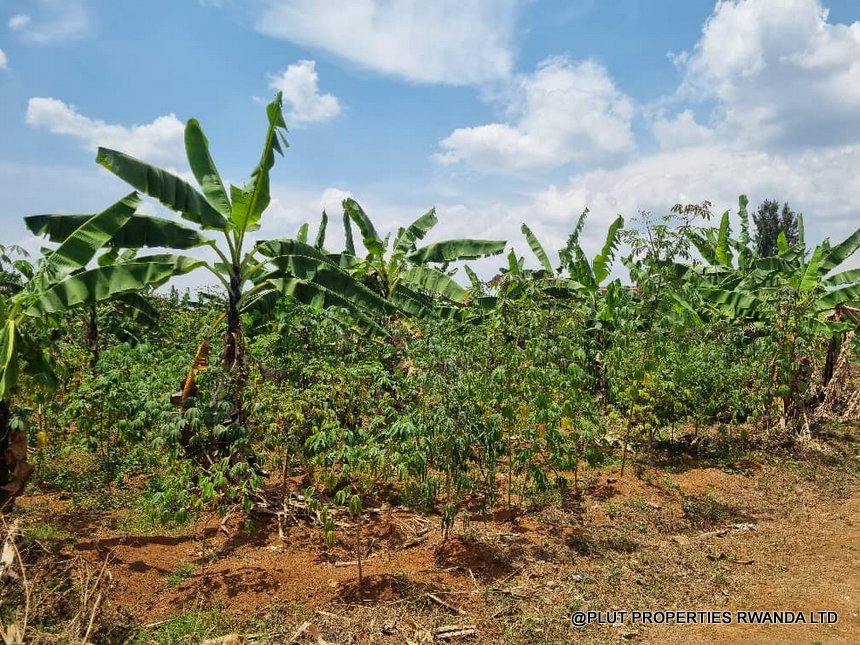 Residential plot for sale in Rusororo Kigali