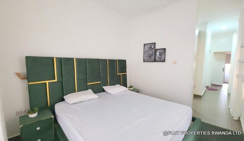 fully furnished house for rent in kibagbaga plut properties (15)