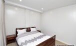 Rent in Kibagabaga plut properties (2)
