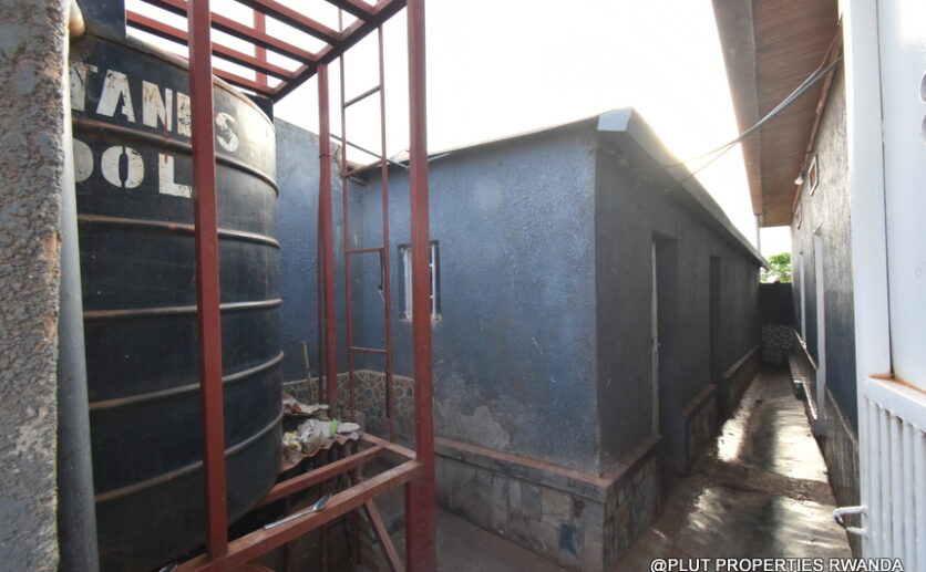 House for rent in Rebero plut properties (9)