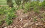quarry for sale in Bugesera Plut Properties (1)