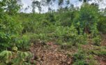 quarry for sale in Bugesera Plut Properties (11)