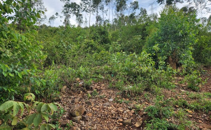 quarry for sale in Bugesera Plut Properties (11)