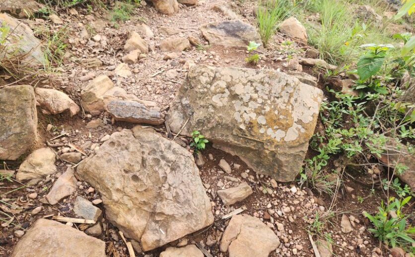 quarry for sale in Bugesera Plut Properties (2)