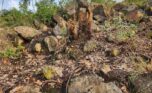 quarry for sale in Bugesera Plut Properties (6)